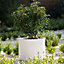 Primrose White Medium Garden Polystone Outdoor Cylinder Planter Diameter 45cm