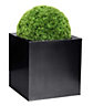 Primrose Zinc Galvanised Outdoor Black Cube Ornamental Planter Large 40cm