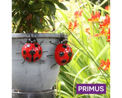 Primus Medium Metal Ladybird Pot Hanger