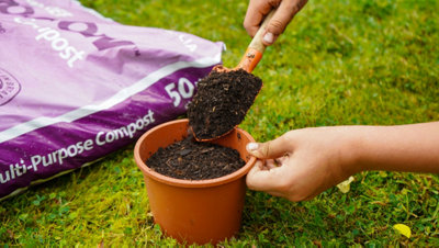 Pro-Grow 1460L Potting & Container Compost Bulk Bag: Peat-free soil for ...