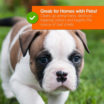 Pro-Kleen Artificial Grass Cleaner and Disinfectant 4x 5L Makes 60 Litres Perfect for Homes with Dogs Cherry Fragrance