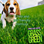 Pro-Kleen Grass Green Lawn Fertiliser 10KG - Professional Grass Fertiliser for Thick Green Grass