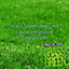 Pro-Kleen Grass Green Lawn Fertiliser 5KG - Professional Grass Fertiliser for Thick Green Grass