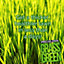Pro-Kleen Grass Green Lawn Fertiliser 7.5KG - Professional Grass Fertiliser for Thick Green Grass