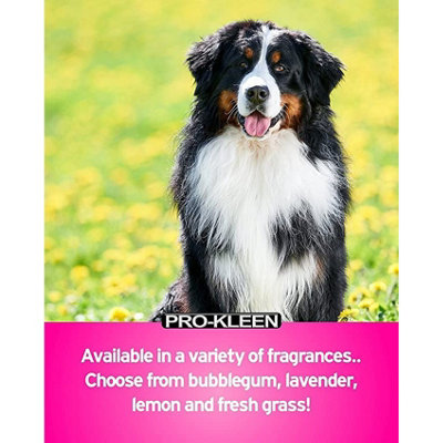 Pro kleen Kennel Kleen Disinfectant Cleaner Sanitiser Deodoriser Concentrated Formula Kennel Cleaner 20L Bubblegum DIY at B Q