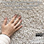 Pro-Kleen MAXPLUS Carpet Shampoo Amber And Bergamot 10L