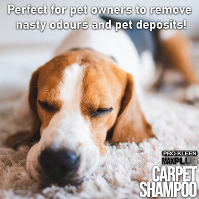 Pro-Kleen MAXPLUS Carpet Shampoo Citrus And Cedar 15L - 5