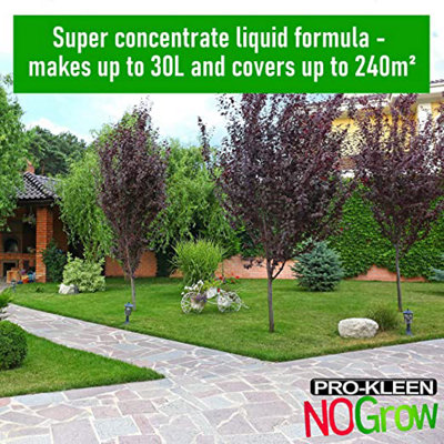 Pro-Kleen No Grow Weed Killer For Patio And Driveways (10 Litres)