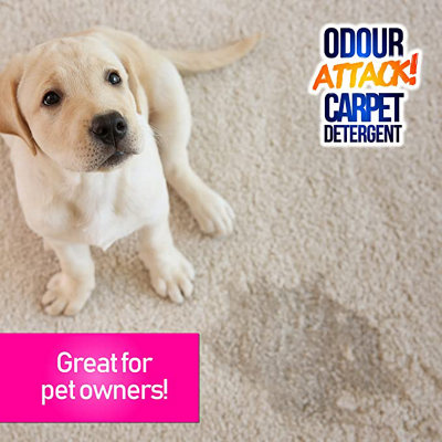 Pro-Kleen Odour Attack Pet Carpet Cleaner Shampoo Contains Active Enzymes to Digest Urine Proteins 20L