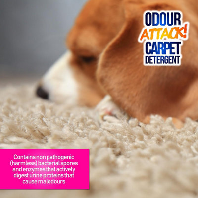 Pro-Kleen Odour Attack Pet Carpet Cleaner Shampoo Contains Active Enzymes to Digest Urine Proteins Ocean Fragrance 10L - 3