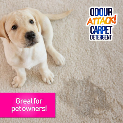 Pro-Kleen Odour Attack Pet Carpet Cleaner Shampoo Contains Active Enzymes to Digest Urine Proteins Ocean Fragrance 15L