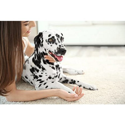 Pro-Kleen Pro+ Carpet and Upholstery Cleaning Solution 4-in-1 Spring Bloom & Citrus Splash - 4