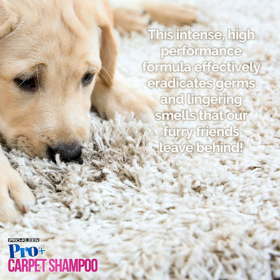 Pro-Kleen Pro+ Carpet And Upholstery Shampoo Removes Pet Deposits & Odours 4 in 1 Concentrate Lemon Fresh 15L - 7