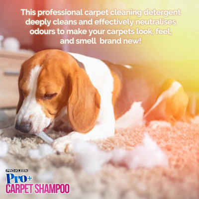 Pro-Kleen Pro+ Carpet And Upholstery Shampoo Removes Pet Deposits & Odours 4 in 1 Concentrate Lemon Fresh 20L - 6