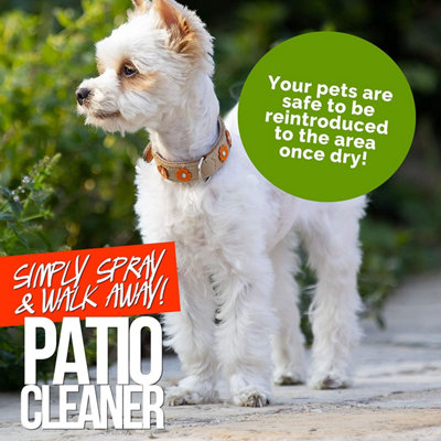 Pro-Kleen Ready to Use Simply Spray & Walk Away Green Mould and Algae Remover 10L