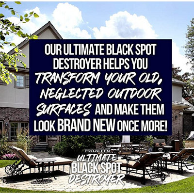 Pro-Kleen Ultimate Black Spot Remover and Destroyer for Patios Stone Block Paving Indian Sandstone and more 10L