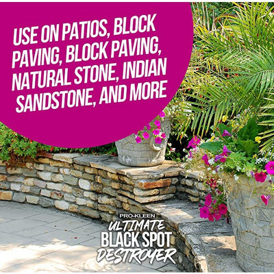 Pro-Kleen Ultimate Black Spot Remover and Destroyer for Patios Stone Block Paving Indian Sandstone and more 20L - 4