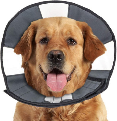 Medical cone for dogs hotsell