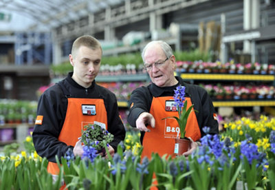Buying standards at B&Q