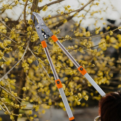 Professional Ratchet Anvil Loppers Pruner With Telescopic Extending Gardening
