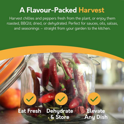 Pronto Seed Chilli Seeds Variety Pack - 12 Types of Chilli and Sweet ...