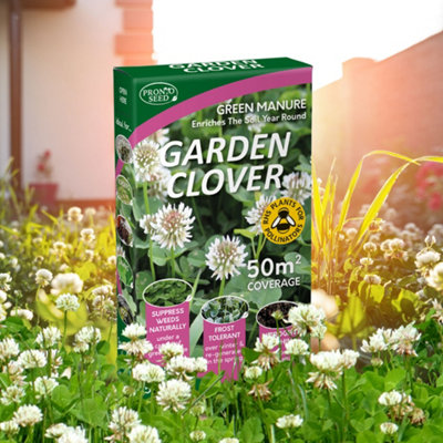 Pronto Seed Clover Seed for Lawn UK - White Clover 500g - 50m2 Coverage