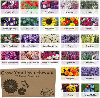 Pronto Seed Flower Bumper Pack - 24 Varieties, Over 3,100 Flower Seeds for Beds, Pots and Baskets