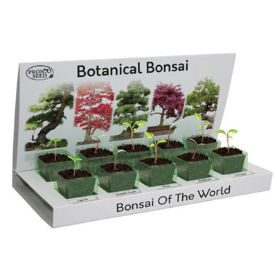 Pronto Seed Grow Your Own Bonsai Tree Kit - 5 Bonsai Seed Varieties - Gardening Fits for Men and Women