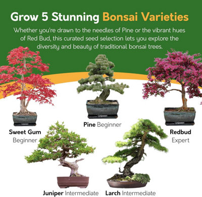 Pronto Seed Grow Your Own Bonsai Tree Kit - 5 Bonsai Seed Varieties -  Gardening Gifts for Men
