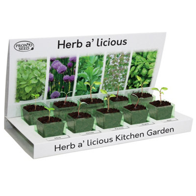 Pronto Seed Grow Your Own Kitchen Herbs Kit - 5 Herb Seed Varieties - Gardening Gifts for Men and Women