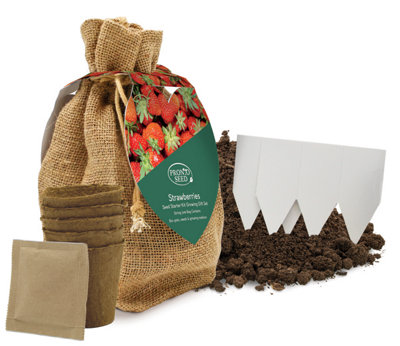 Pronto Seed Grow Your own Strawberries Kit - Strawberry Seeds to Grow - Gardening Gifts for Women & Men