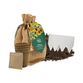 Pronto Seed Grow Your Own Sunflower Kit - Sunflower Seeds to Grow - Gardening Gifts for Women & Men