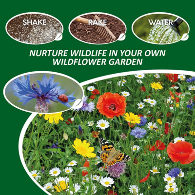 Pronto Seed Pure Wildflower Seed Mix 100g, Covers 100m²