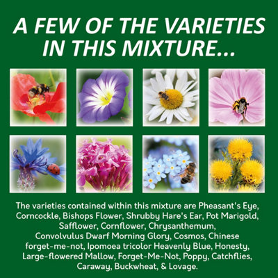 Pronto Seed Pure Wildflower Seed Mix 100g, Covers 100m²