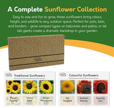Pronto Seed Sunflower Bumper Pack - 6 Varieties, Colourful and