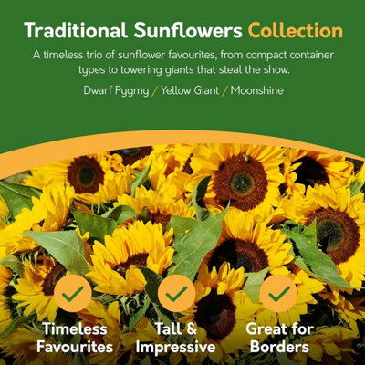 110（O!!） Sunflowers ボウル 110（O!!） Sunflowers ボウル