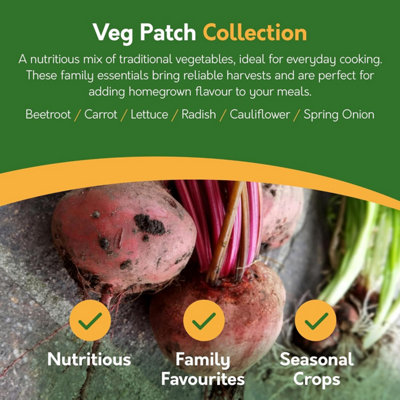 Pronto Seed Vegetable Bumper Pack, 21 Varieties, Over 1700 Vegetable Seeds