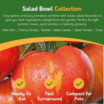 Pronto Seed Vegetable Bumper Pack, 21 Varieties, Over 1700 Vegetable Seeds