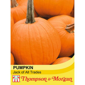 Pumpkin Jack Of All Trades F1 1 Seed Packet (10 Seeds)