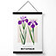 Purple Iris Plants Flower Market Minimalist Medium Poster with Black Hanger