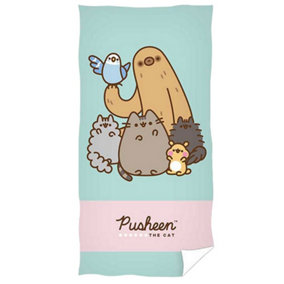 Pusheen Characters Soft Touch Beach Towel Mint Green/Pink (140cm x 70cm)