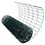 PVC Coated Galvanised Wire Netting Fencing Mesh Garden Fence 30 x 0.6 Metres
