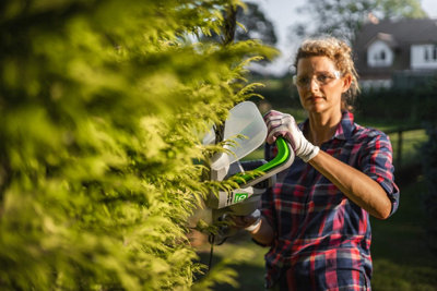 B and q hedge trimmer discount