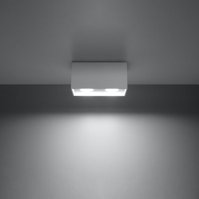 Quad Maxi Aluminium White 2 Light Classic Ceiling Light