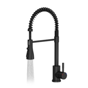 Quadron Salma Black coil kitchen tap with spray function