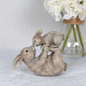Rabbit and Bunny Resin Ornament. Comes With Mini Sentiment Card