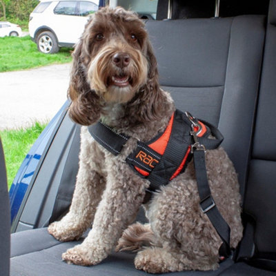 Cargo dog harness hotsell