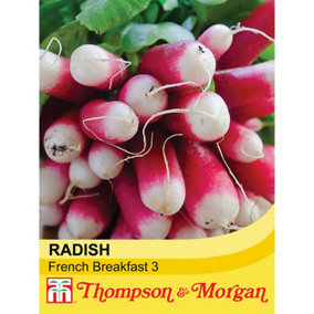 Radish French Breakfast 3 1 Seed Packet (750 Seeds)
