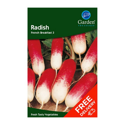 Radish French Breakfast (Raphanus sativus)