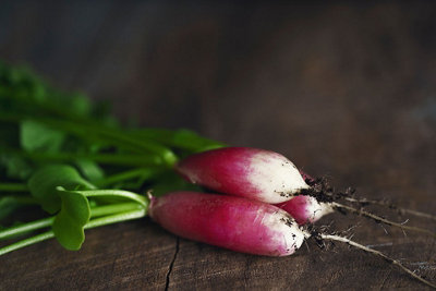 Radish French Breakfast Vegetable Seeds (Approx. 280 seeds) by Jamieson Brothers - 6